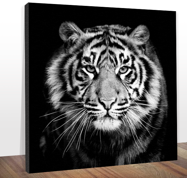 Quadro Decorativo Grande Para Sala Moderna Escritório Tigre