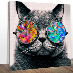 Quadro gato colorido de óculos