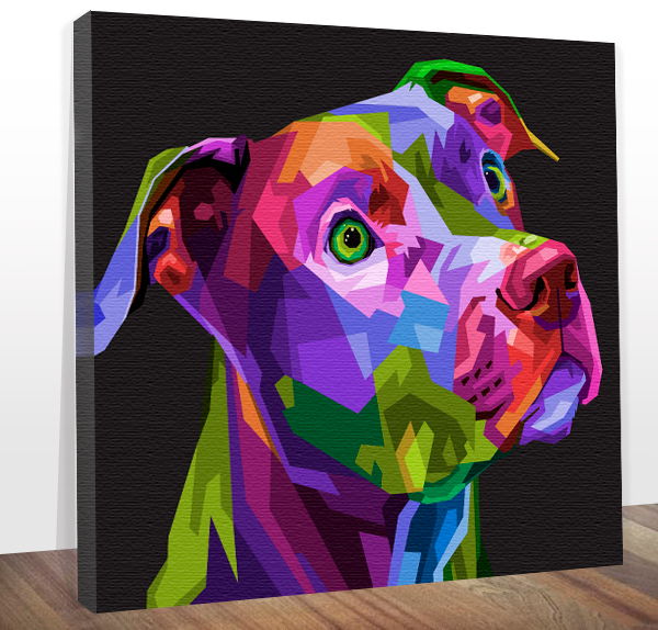 Quadro pitbull